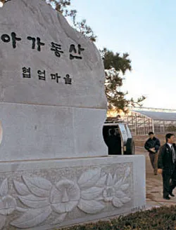  차별화된 웹디자인 솔루션으로 성공하는 비즈니스