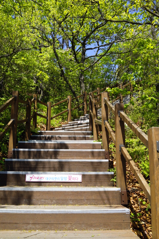 한국 명산 대구 여행 비슬산 등산 mountain hiking