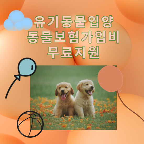  유기견 입양시 동물 보험 가입비 무료 지원