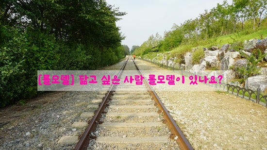  [롤모델] 닮고 싶은 사람 롤모델이 있나요?