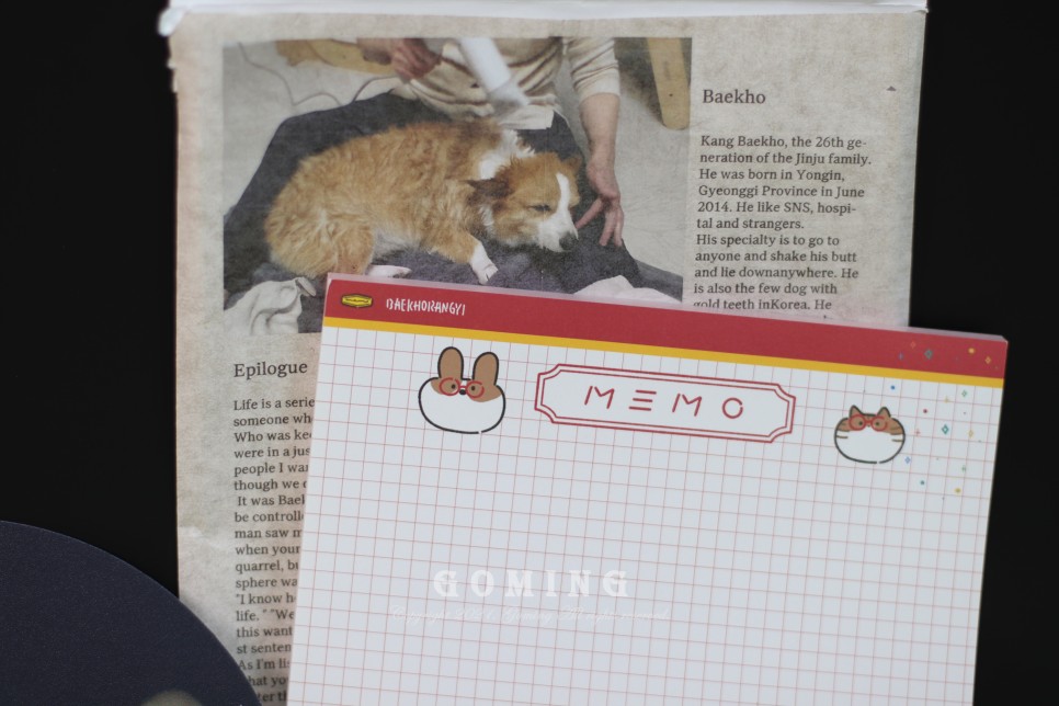 백호랑이 주문, 이웃집의 죽도록 사랑해!!!! 10