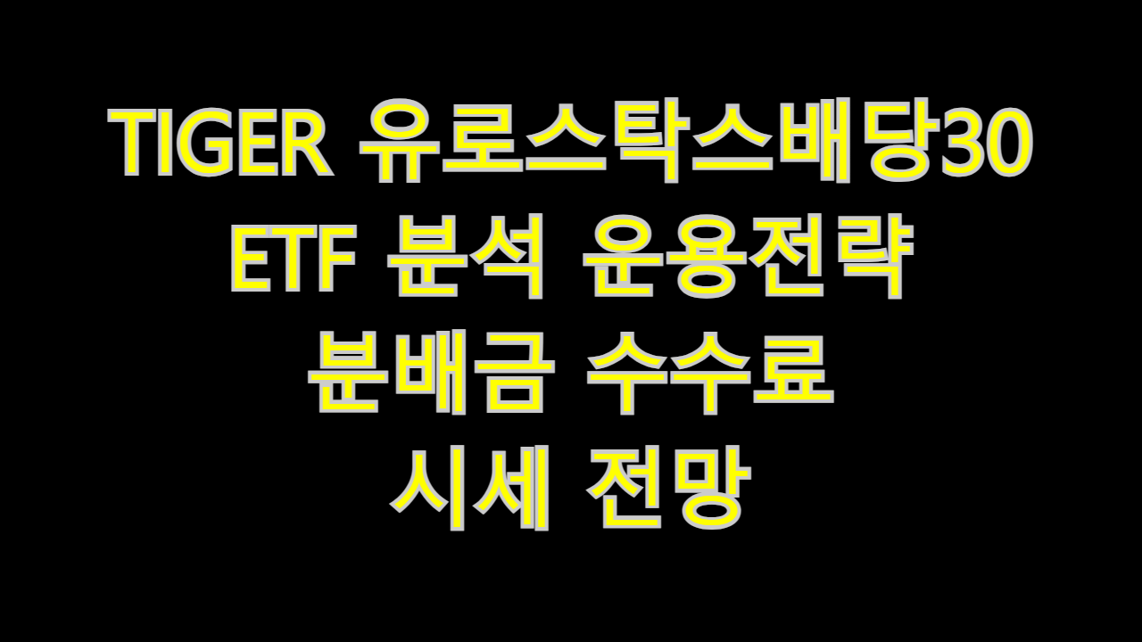  TIGER 유로스탁스배당30 ETF 분석 운용전략 분배금 수수료 시세 전망