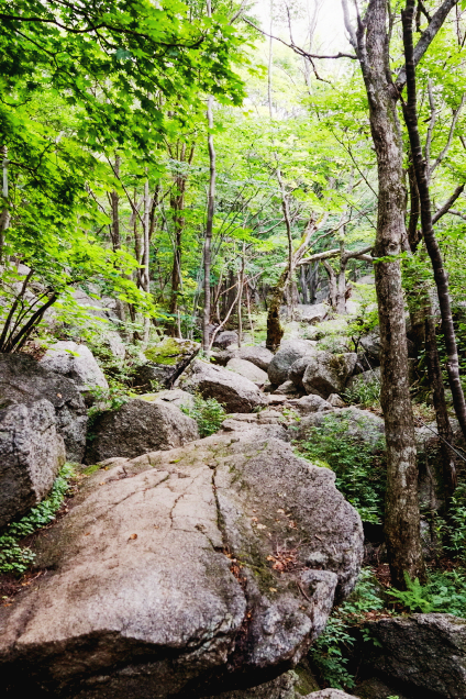 한국 명산 전남 광양 백운산 등산 mountain hiking