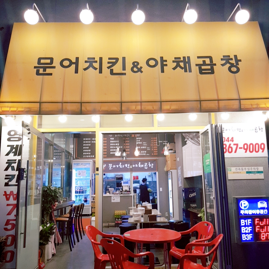  [세종시맛집] 나성동맛집 문어치킨 & 야채곱창 먹방 동영상입니다 ^^