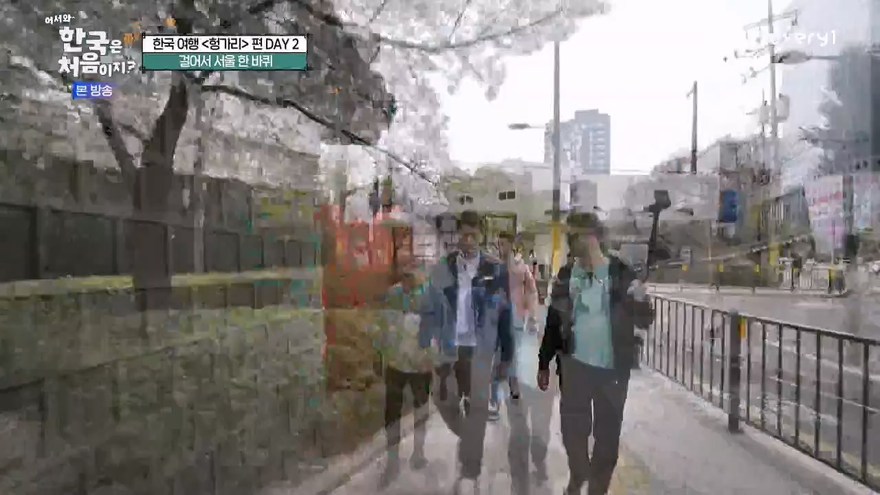 어서와 한국은 처음이지 시즌2.E317.240607p-NEXT.mp4_20240607_201724.108.jpg