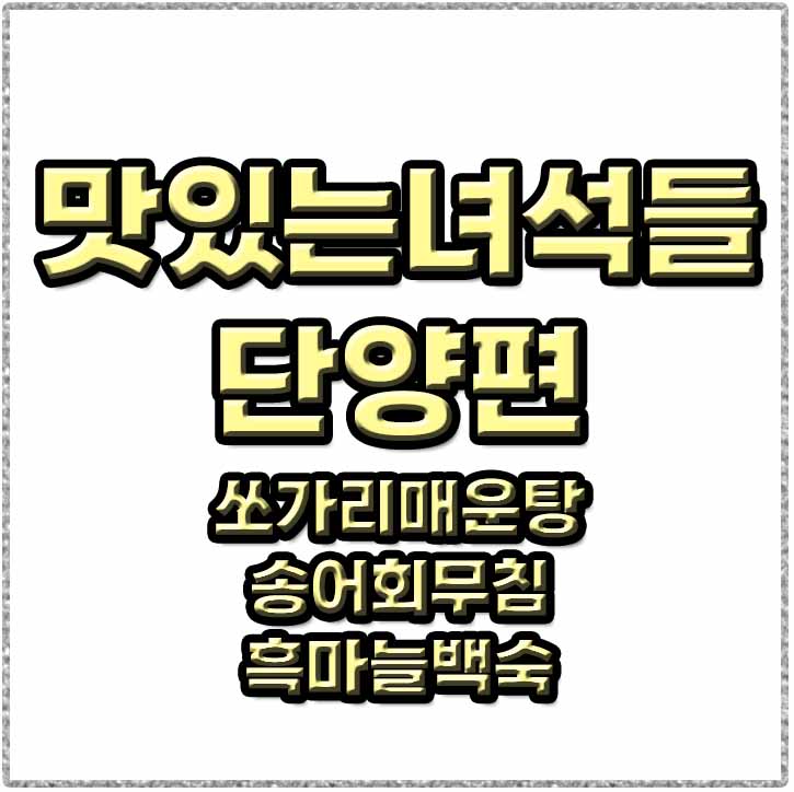  맛있는녀석들 단양 맛집 송어회무침 쏘가리매운탕 흑마늘백숙 위치