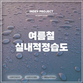 여름철 습도 관리 완벽 가이드 건강한 실내 환경_6