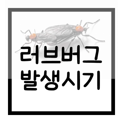 러브버그-한국-출몰-발생시기-기후