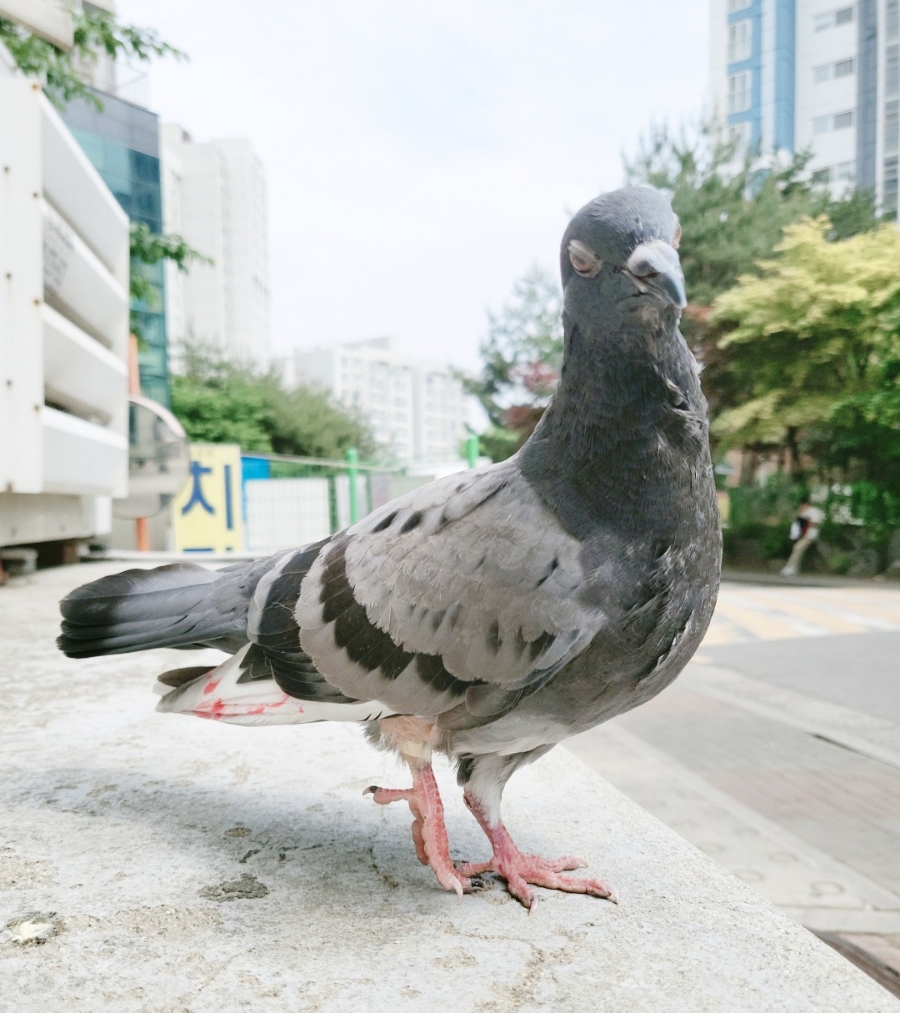 청소안선생 이미지