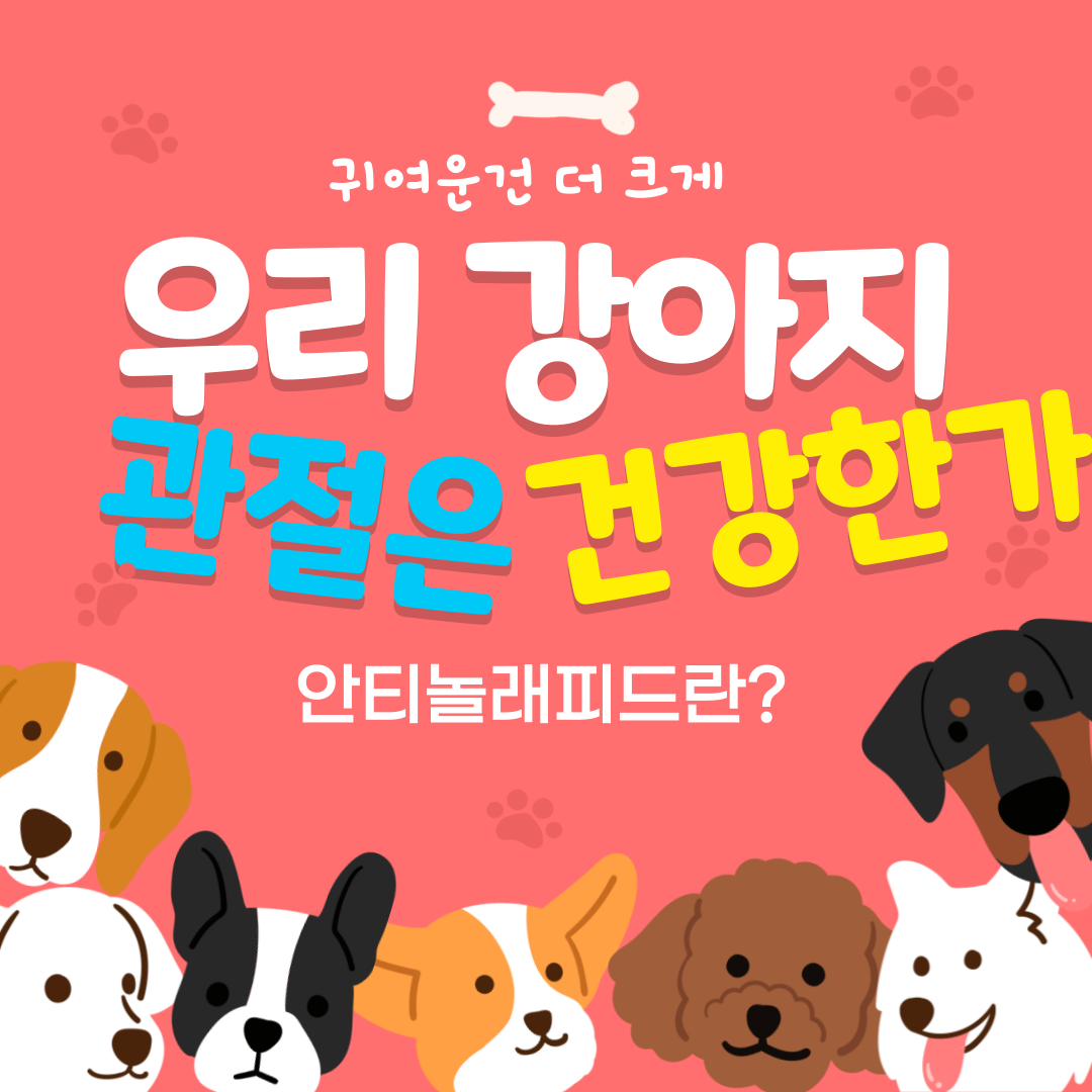 안티놀래피드