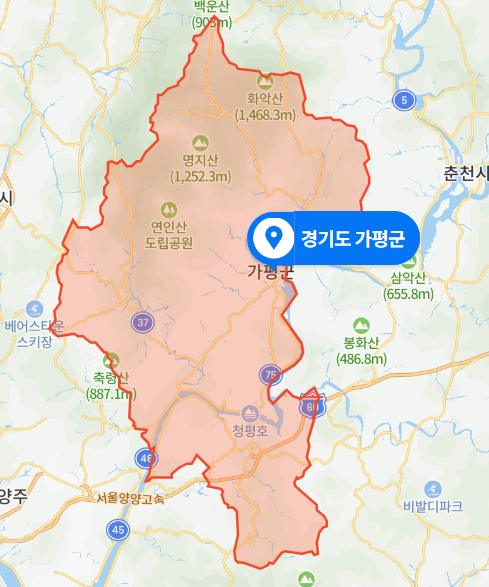  경기도 가평군 절벽 투신 자살미수 사건 (2020년 11월 17일)
