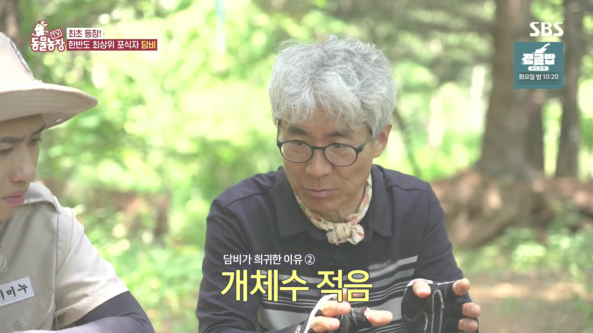 TV 동물농장.E1185.240818p.H264-F1RST.mp4_20240818_161248.180.jpg