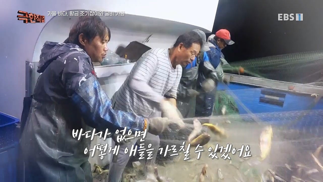 TV - 교육의 중심 EBS가을 바다 황금 조기잡이와 굴비 가공.mp4_20221122_195446.148.jpg