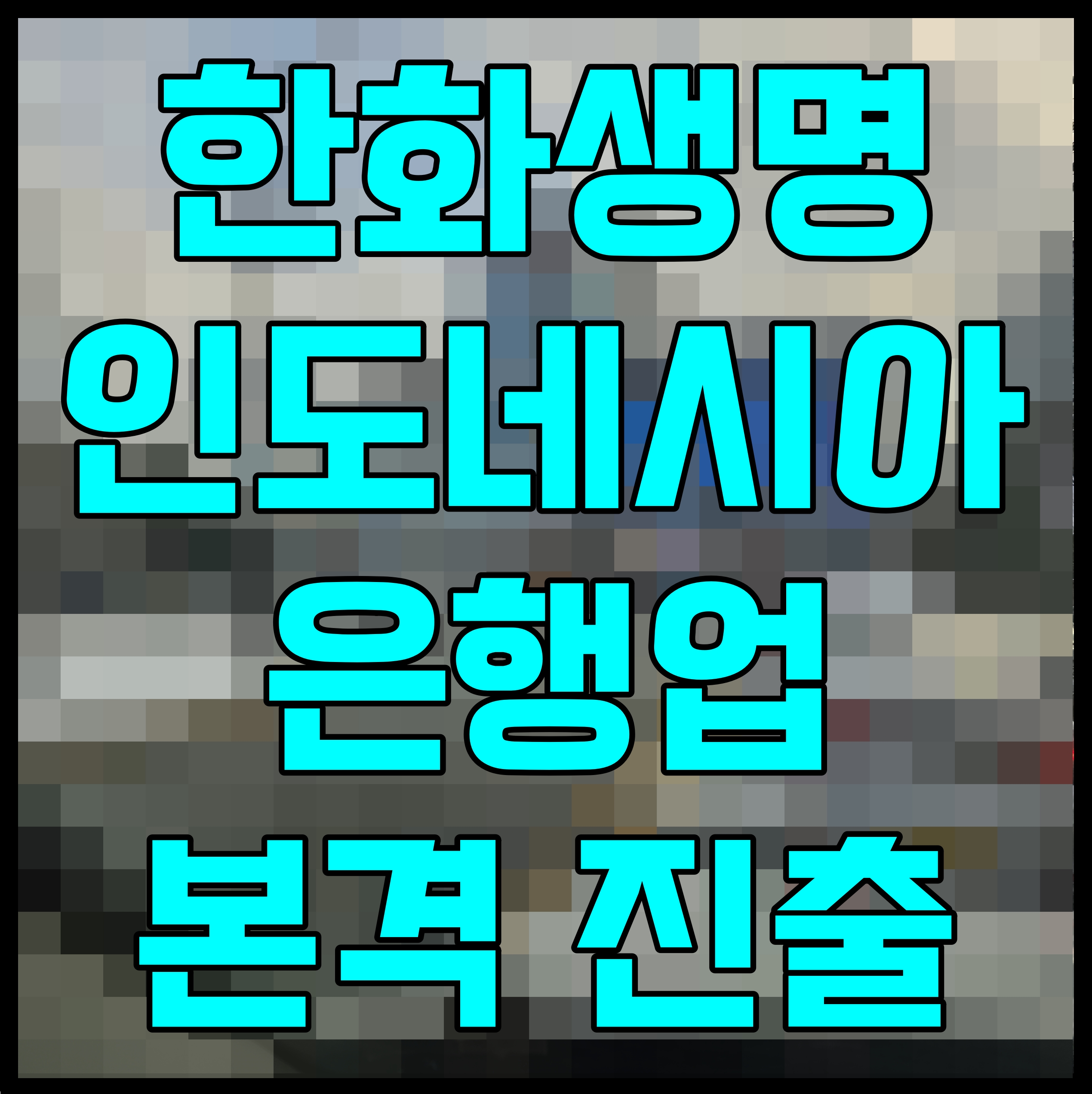  한화생명 인도네시아 은행업 본격 진출