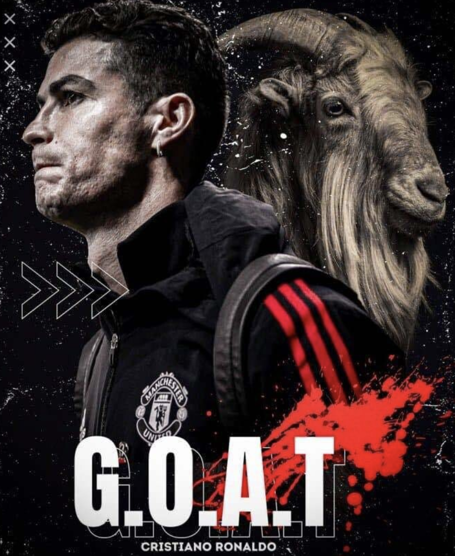 goat 짤