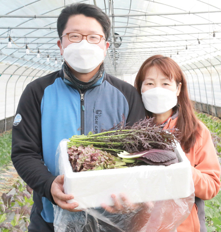  6시 내고향 익산 쌈채소 택배 주문하는곳 농장 업체 주소 애벌레농장 부부