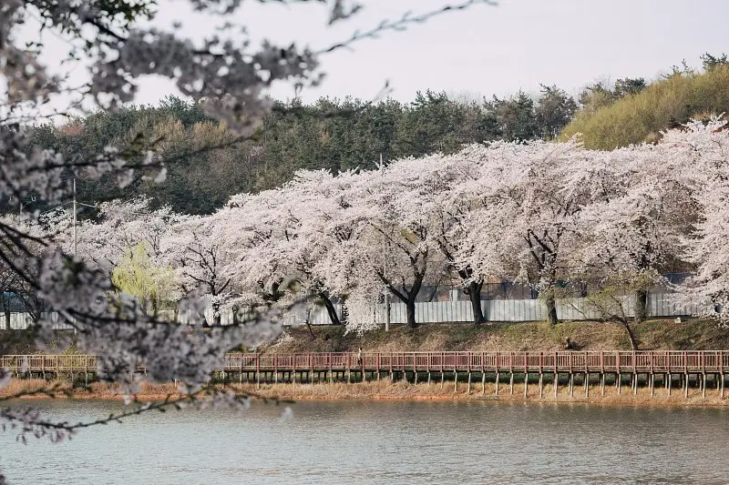 군산 은파호수공원