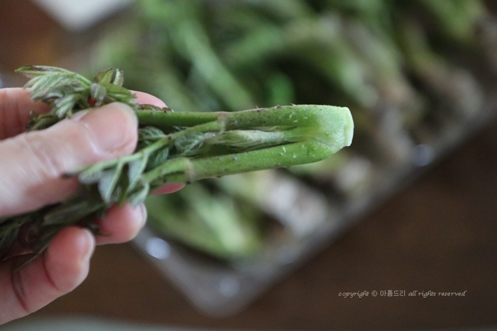 만들고 영양도 맛도 좋아요~ 오가피 요리!쇠고기 오가피꼬치 15