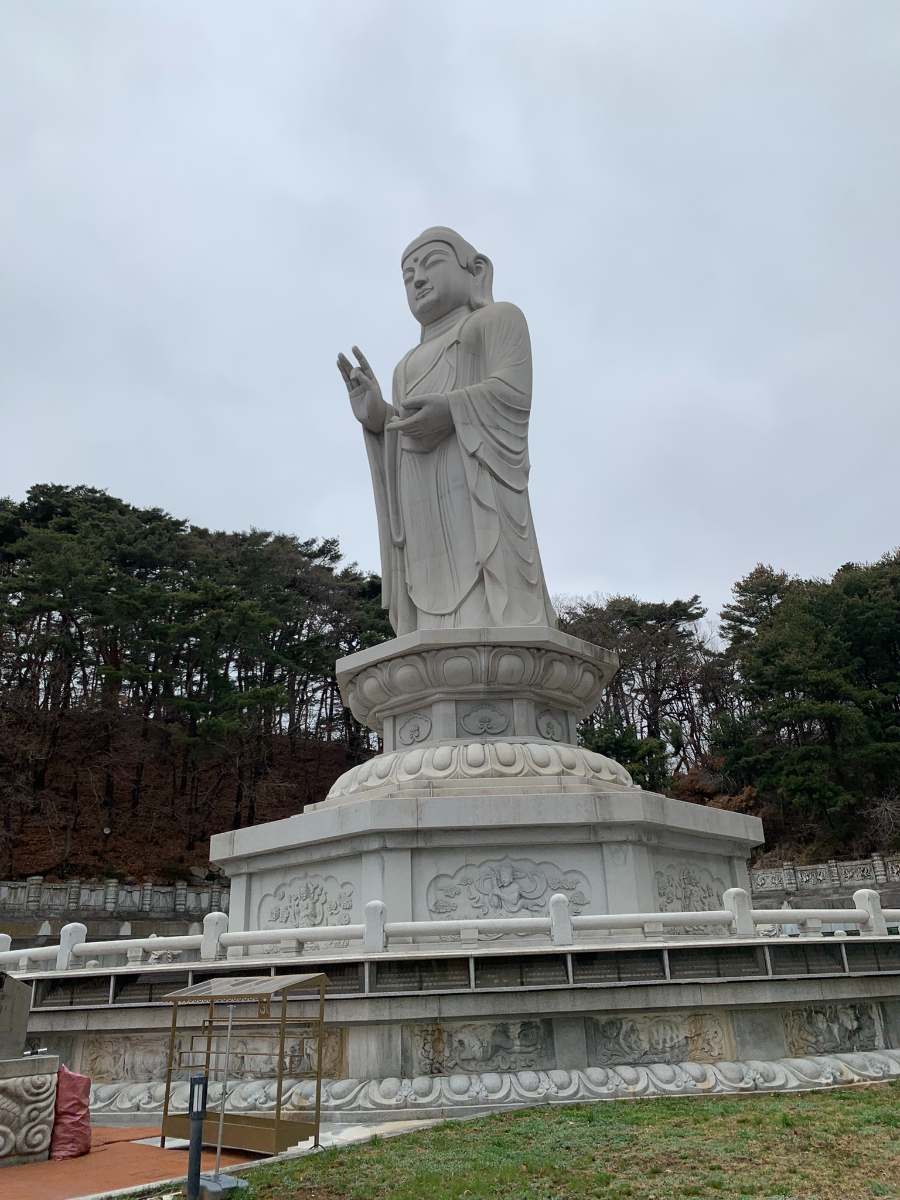 (리뷰) 대구 동화사 탐방, 벚꽃정물, 벚꽃축제 정보 3