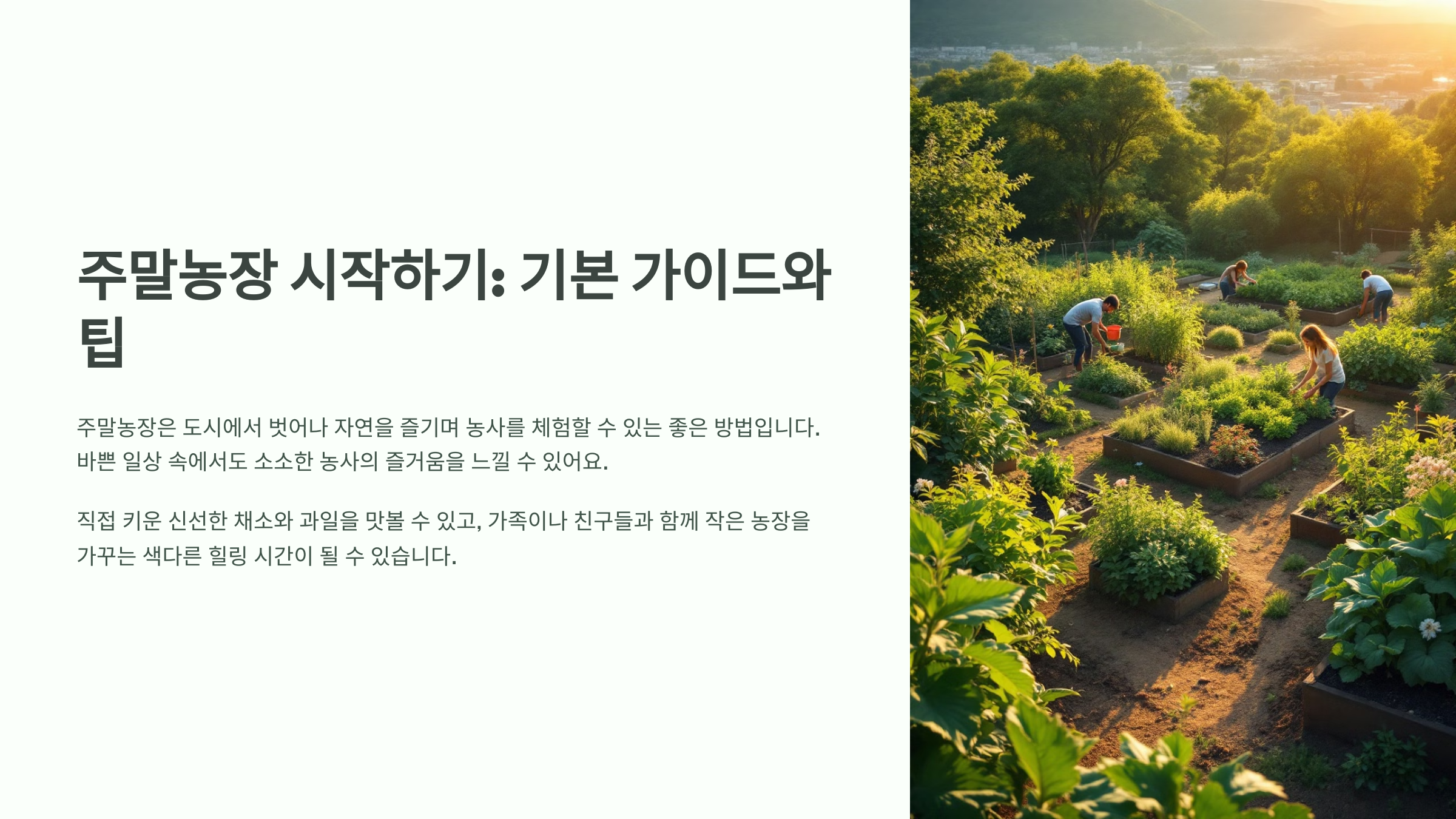 주말농장 시작하기: 기본 가이드와 팁
