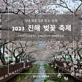 2025년 벚꽃축제 일정 시기 명소_2