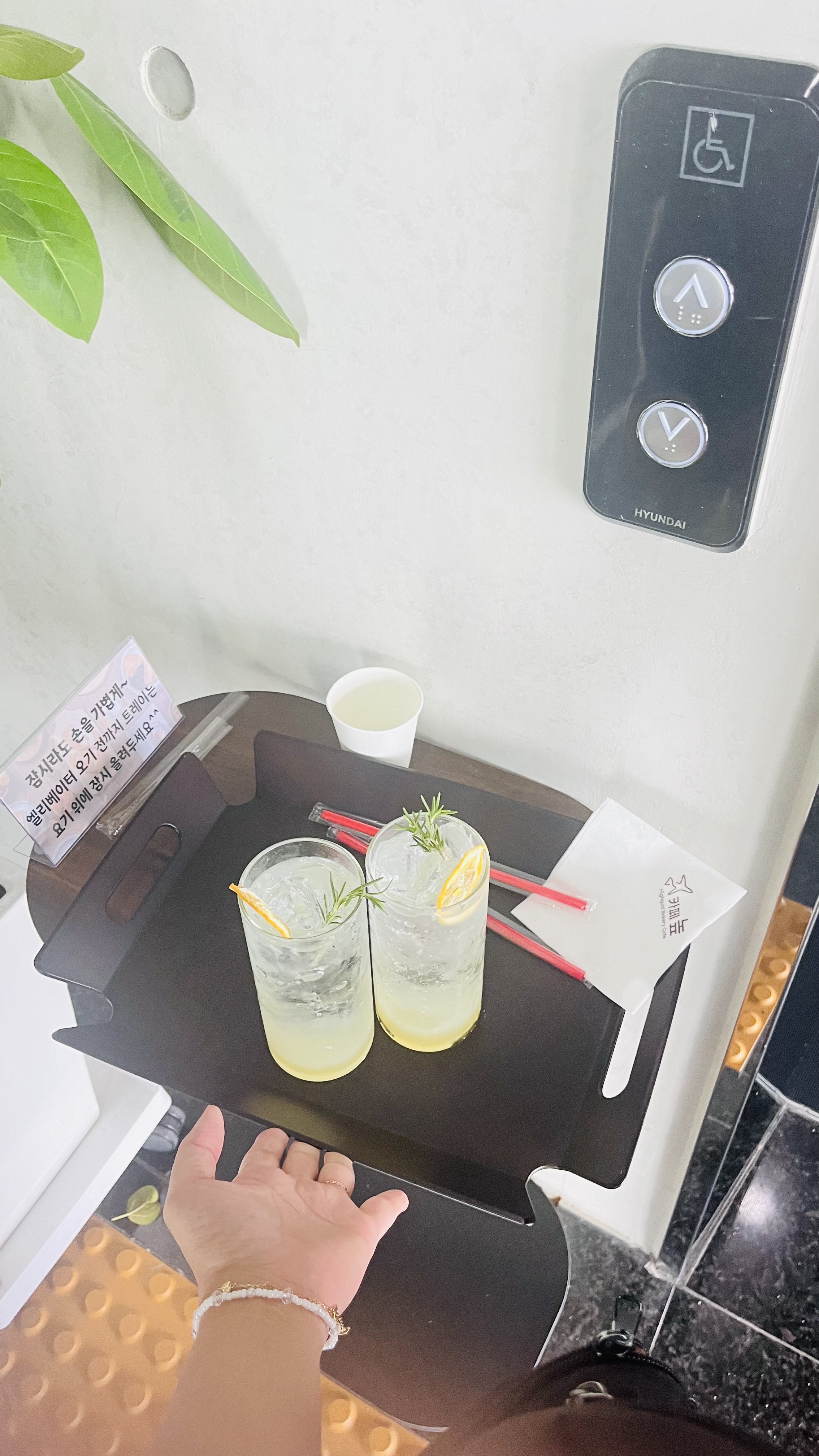 카페 높 이미지