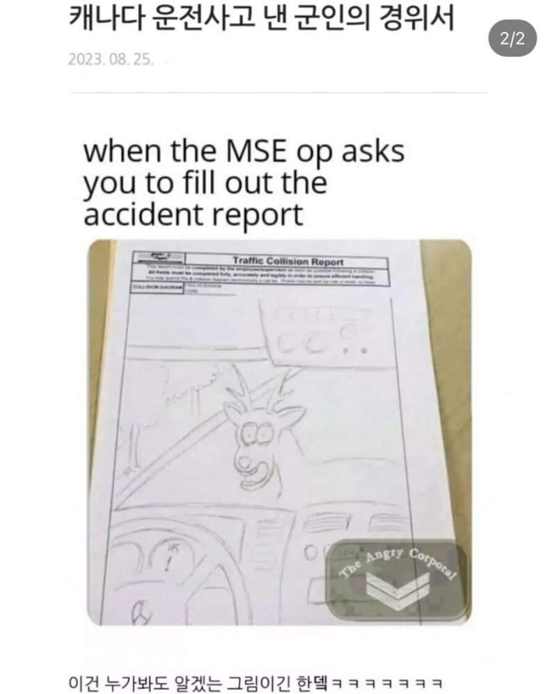 img.jpg