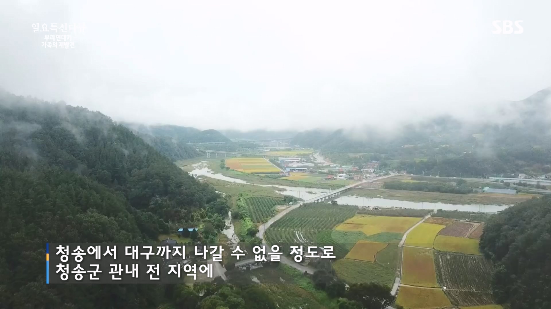 일요 특선 다큐멘터리.E327.231105p.H264-F1RST.mp4_20231105_165422.077.jpg