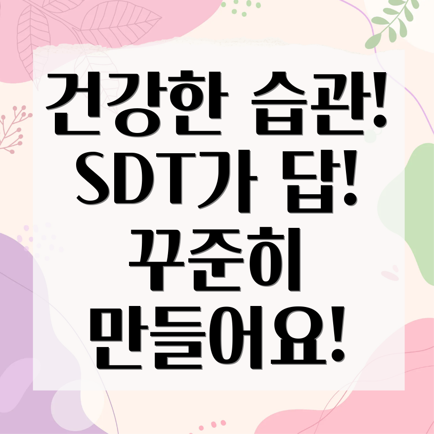 자기결정이론(SDT)