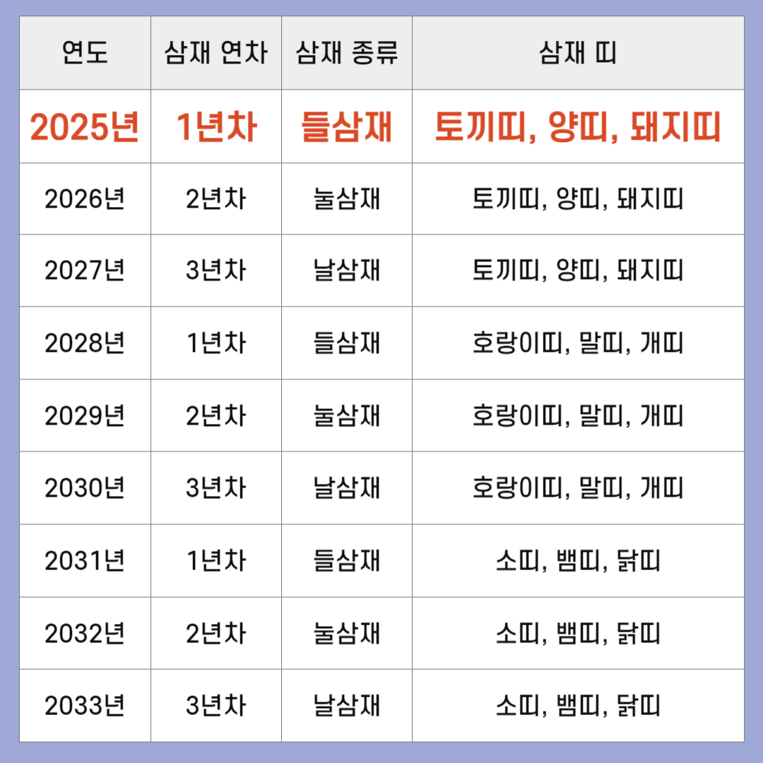 2025년 삼재띠