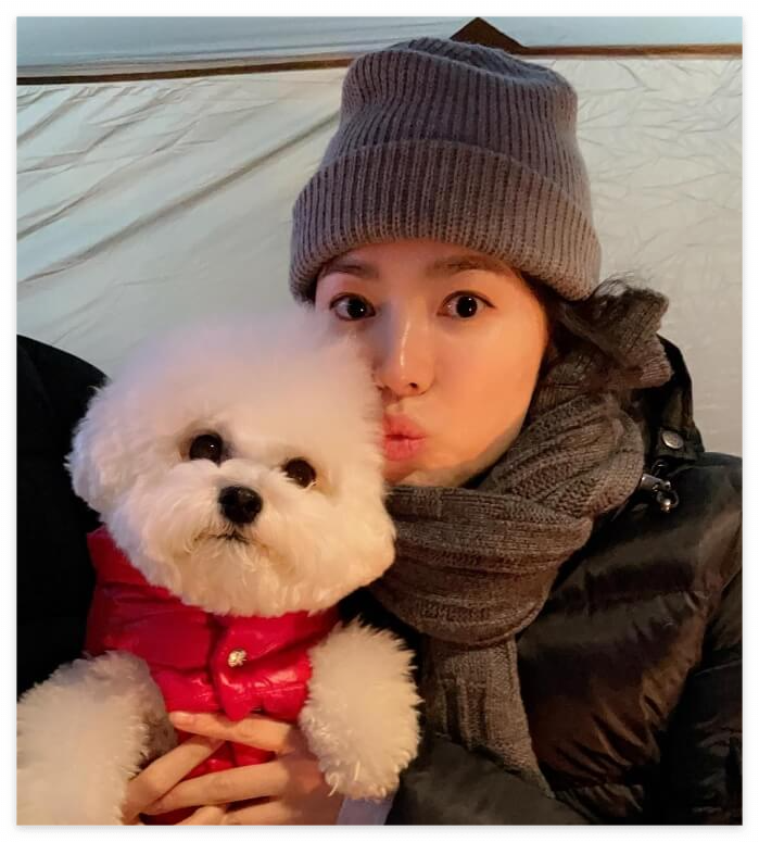 배우 송혜교가 목도리를 하고 강아지를 안고 있는 모습