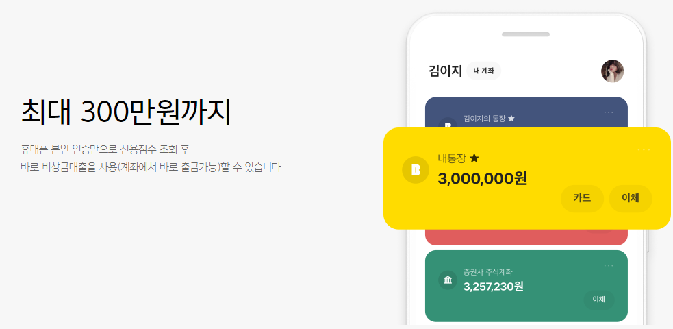 소액대출 100만원