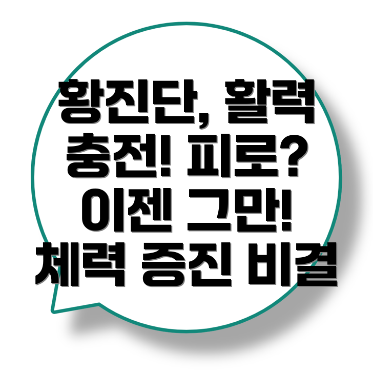 정관장 황진단