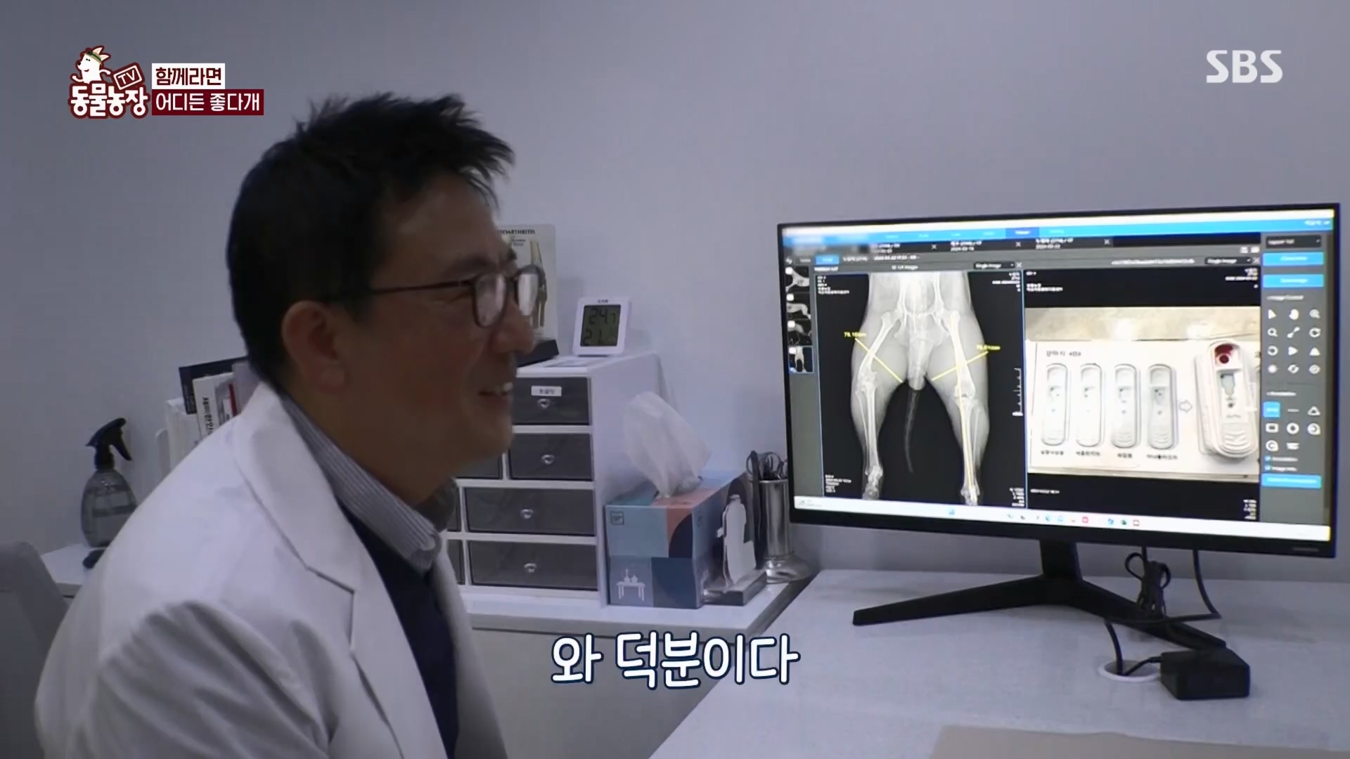 TV 동물농장.E1170.240505p.H264-F1RST.mp4_20240505_153826.457.jpg
