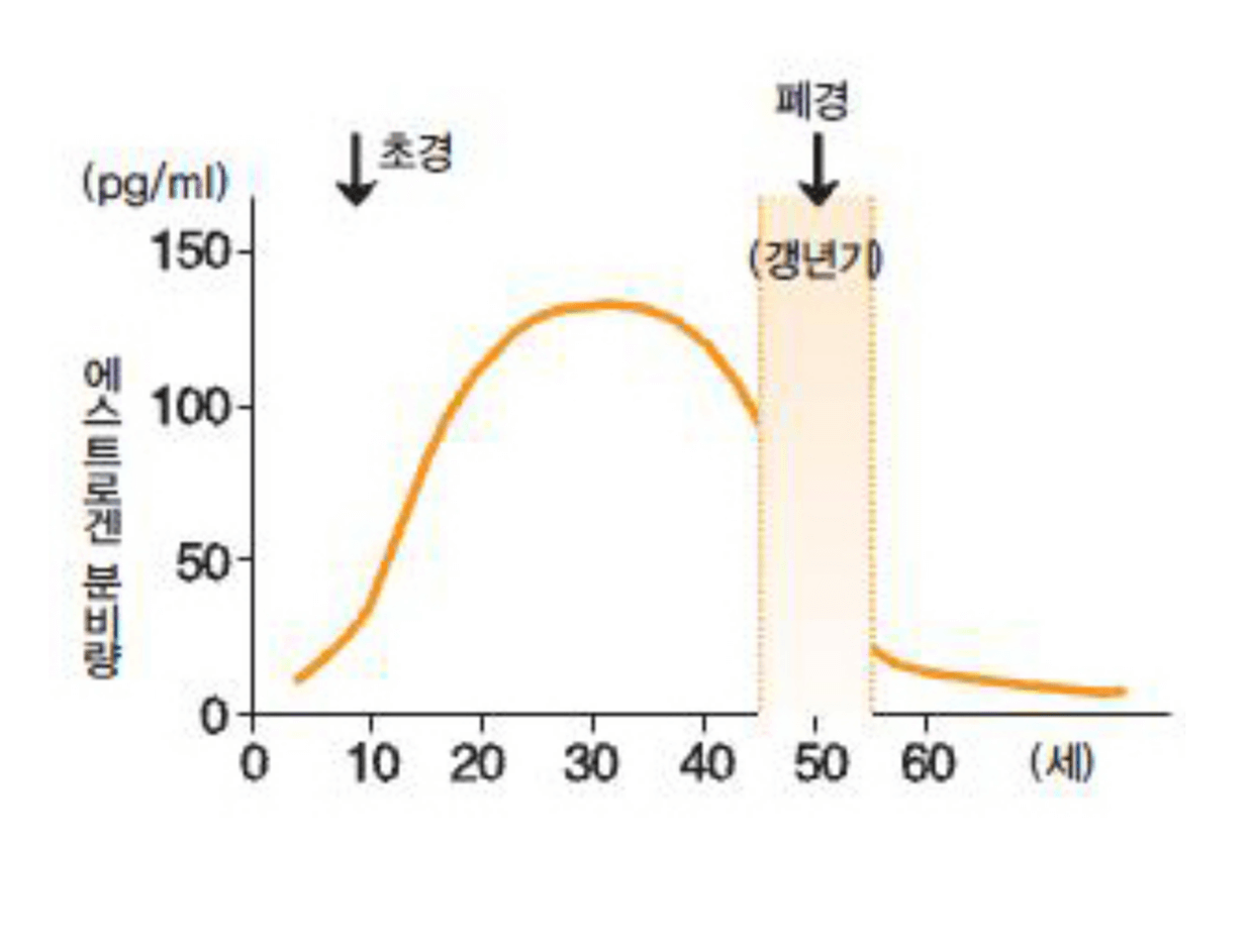 여성호르몬-농도-나이-생애-주기-그래프