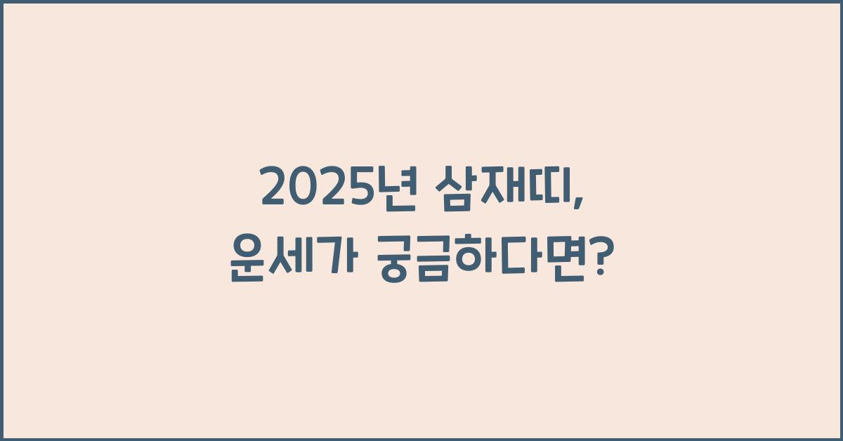 2025년 삼재띠
