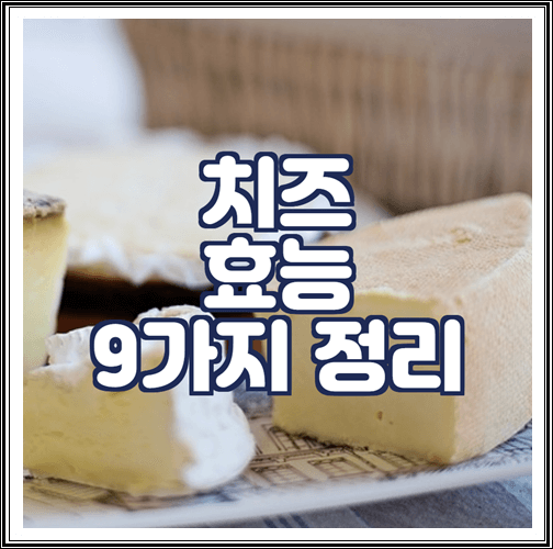  치즈 효능 9가지 정리