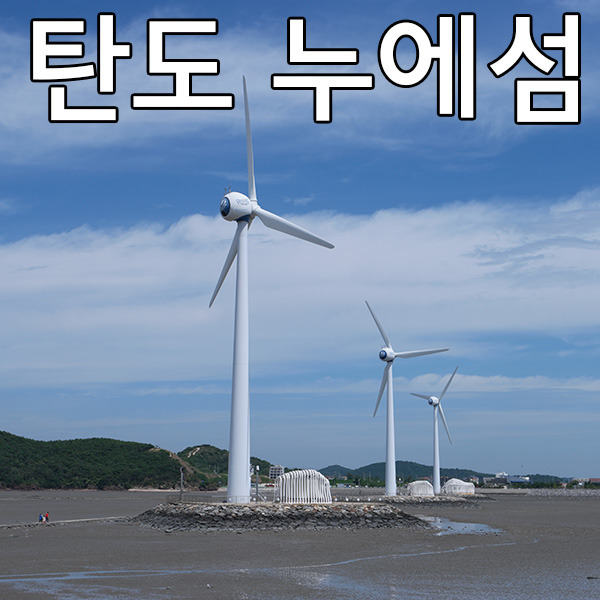 [안산여행지] 누에섬 바닷길 걸어서