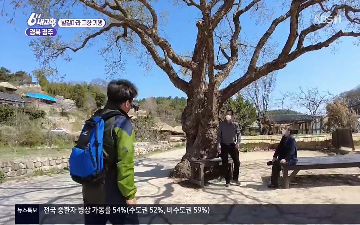 6시 내고향.E7510.220414p.H264-F1RST.mp4_20220419_184747.277.jpg