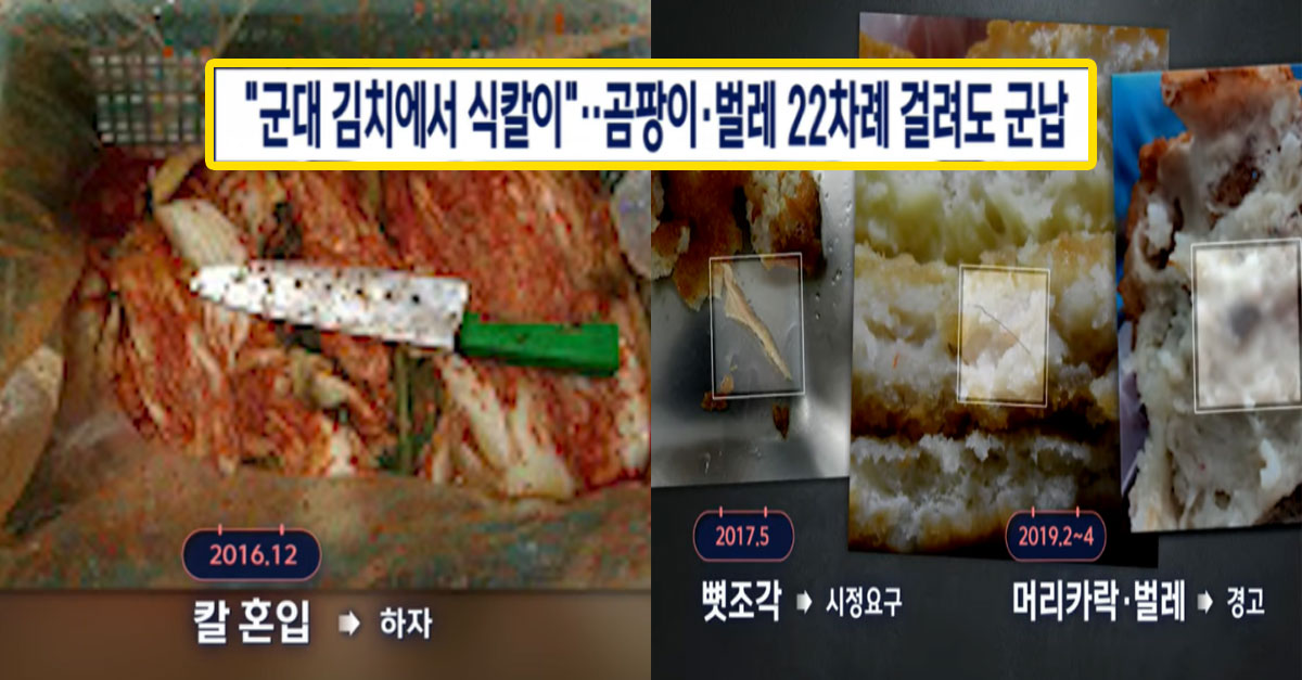  칼, 벌레가 나와도 군대 급식 납품업체가 끄떡없는 이윺