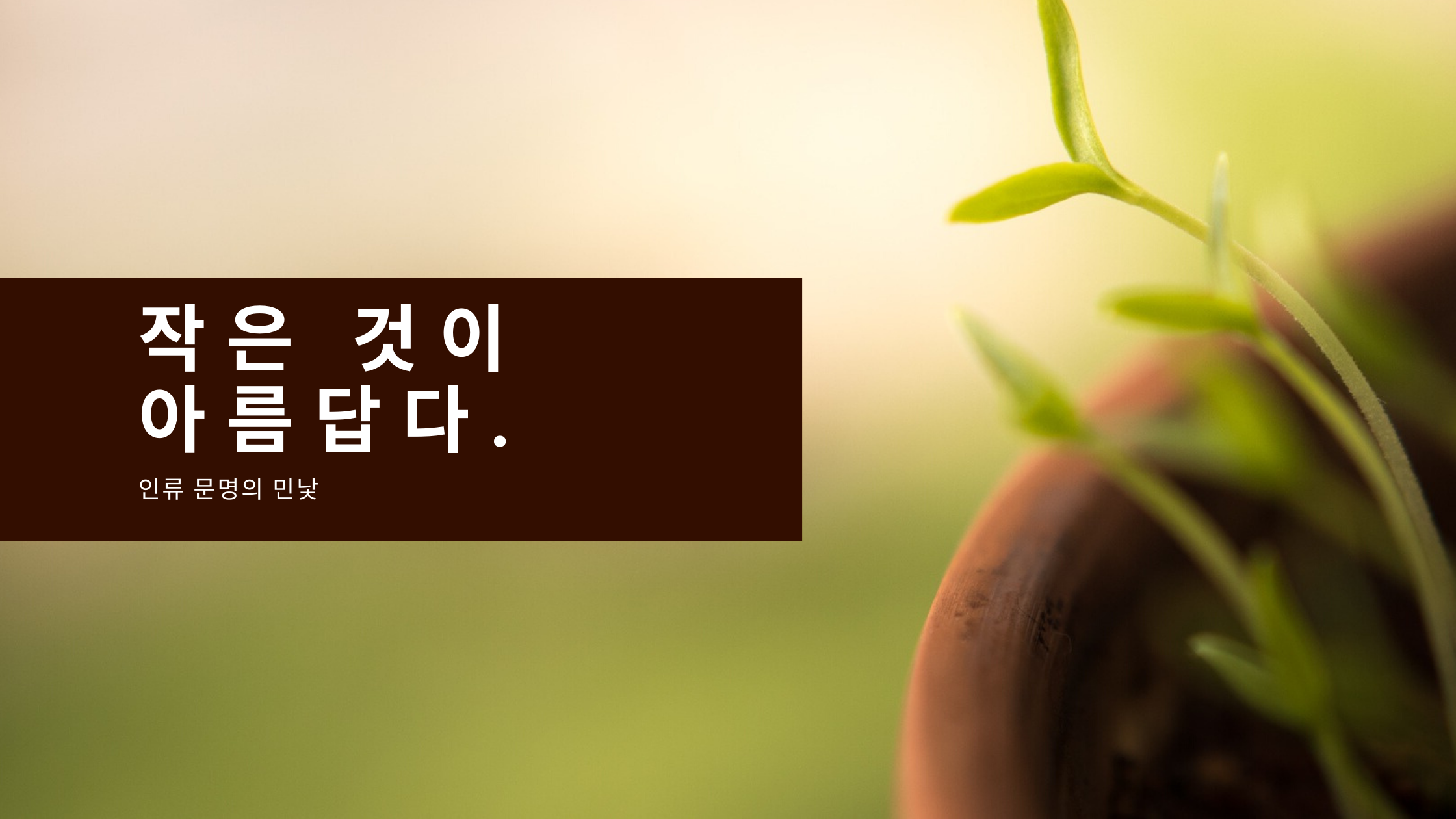  작은 것이 아름답다 - 인류 문명의 민낯