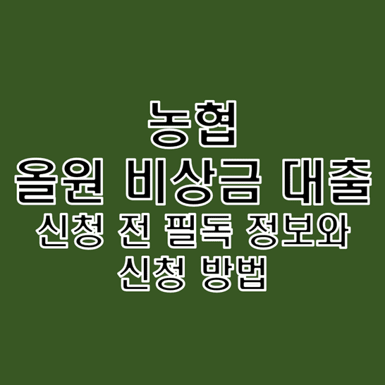  농협 올원 비상금 대출 정보 직업 소득 무관하게 휴대폰만 있다면 승인 가능