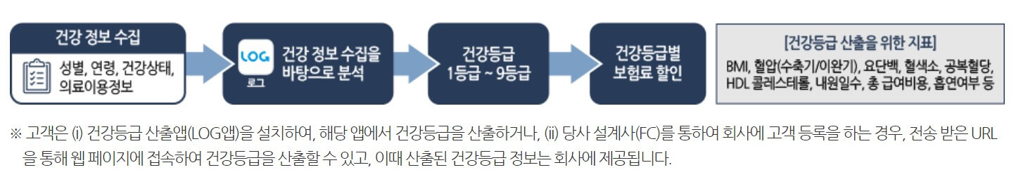 보장내용