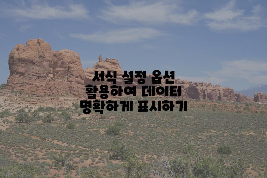 서식 설정 옵션 활용하여 데이터 명확하게 표시하기