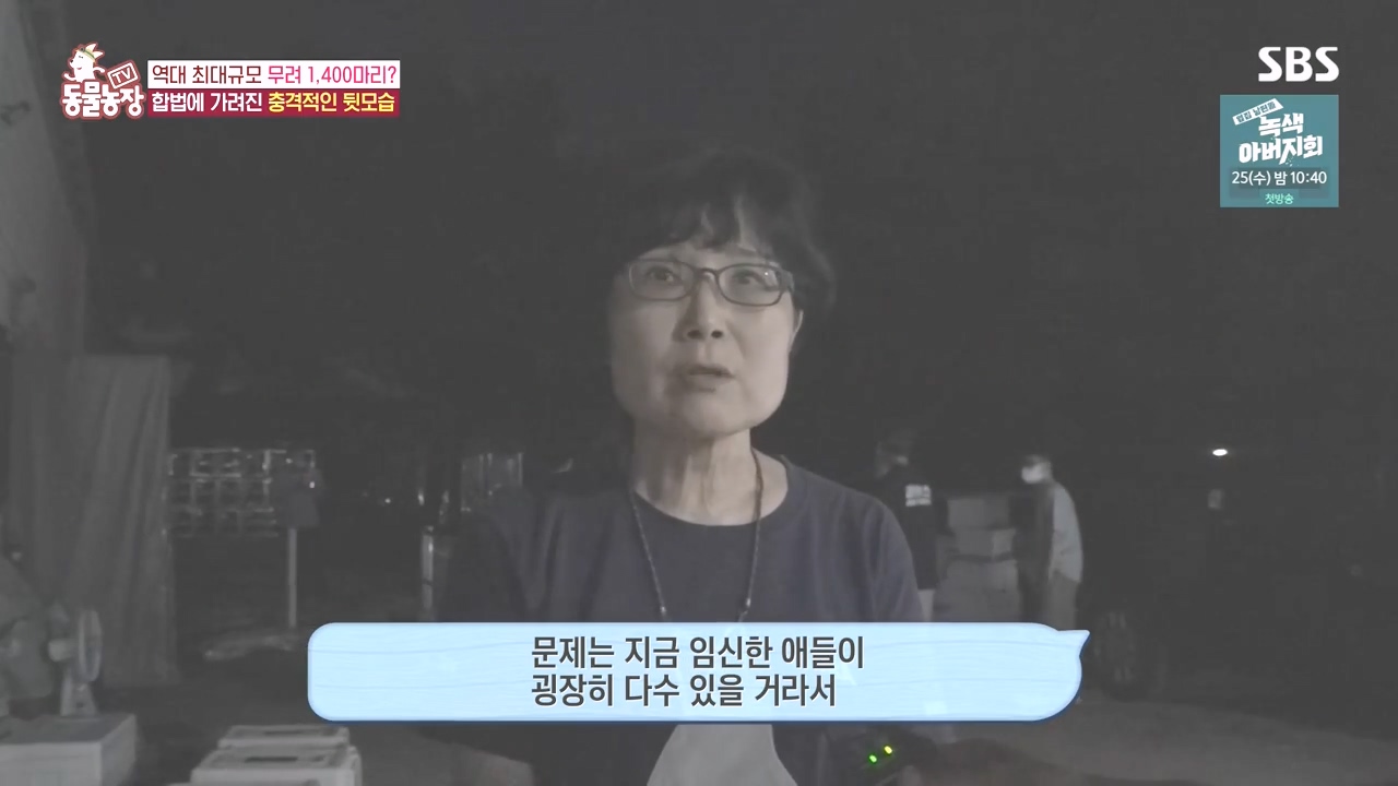TV 동물농장.E1142.231023p-NEXT.mp4_20231022_172213.577.jpg