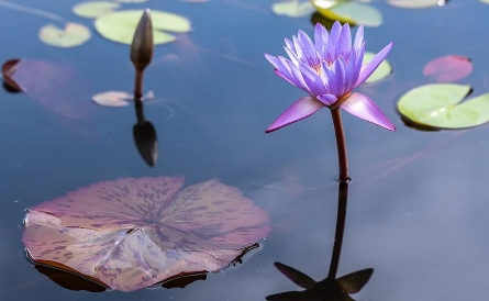 파주 가볼만한곳 베스트10 정보 알아보기