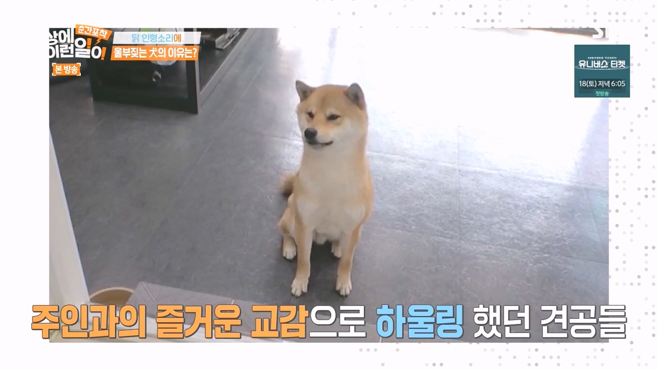 순간포착 세상에 이런일이.E1252.231112p-NEXT.mp4_20231112_170302.220.jpg