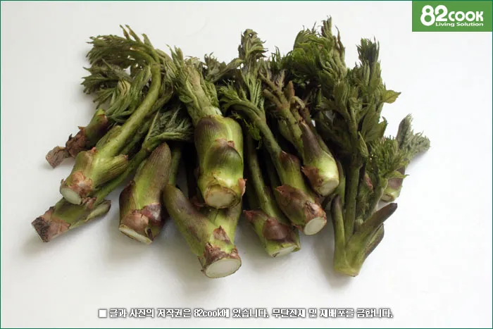 개두릅 참두릅 차이 섭취방법_3