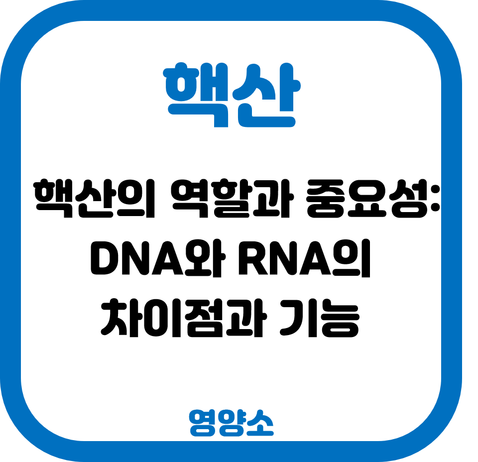 핵산의 역할과 중요성