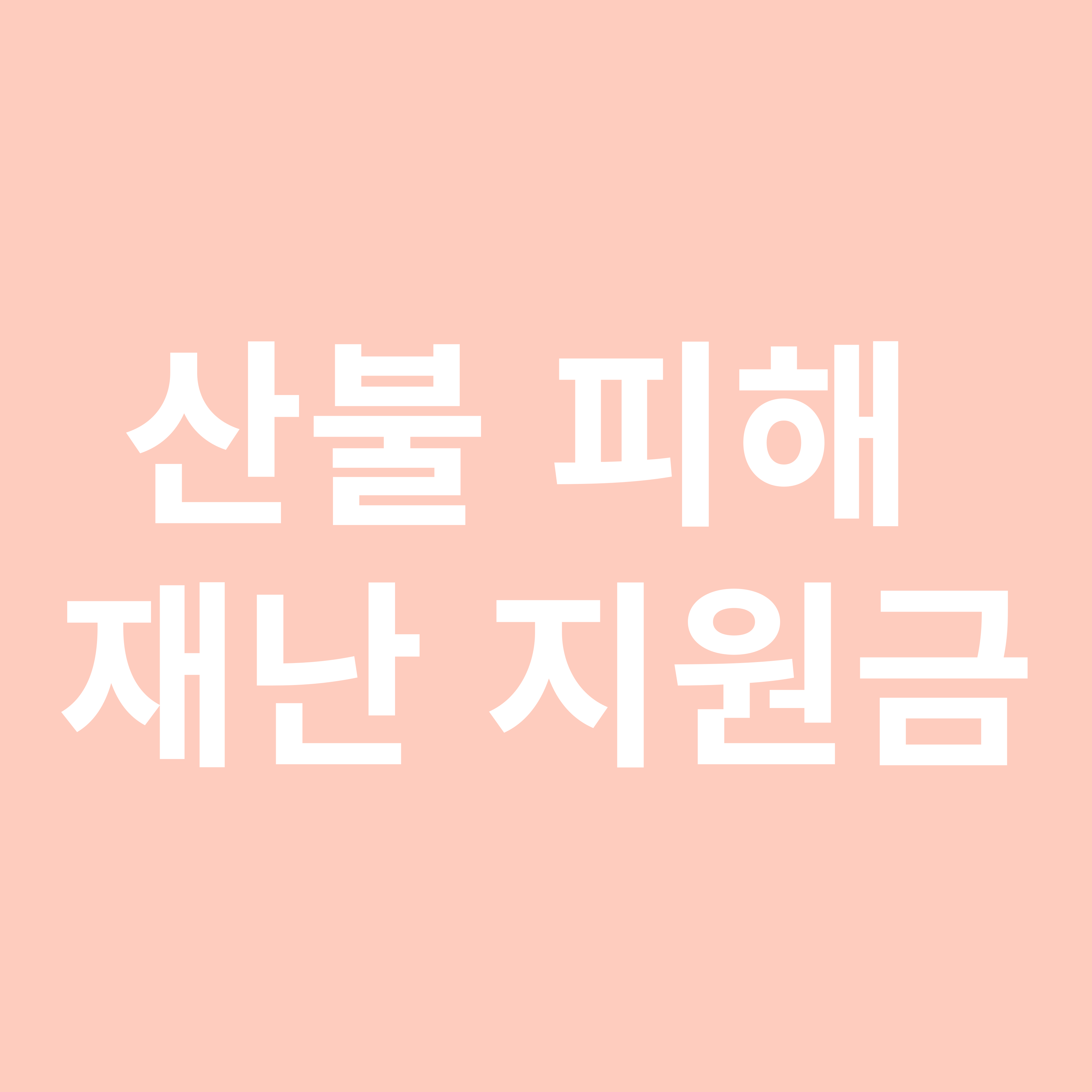 산불 피해&nbsp;재난 지원금